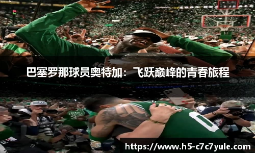 c7娱乐公司